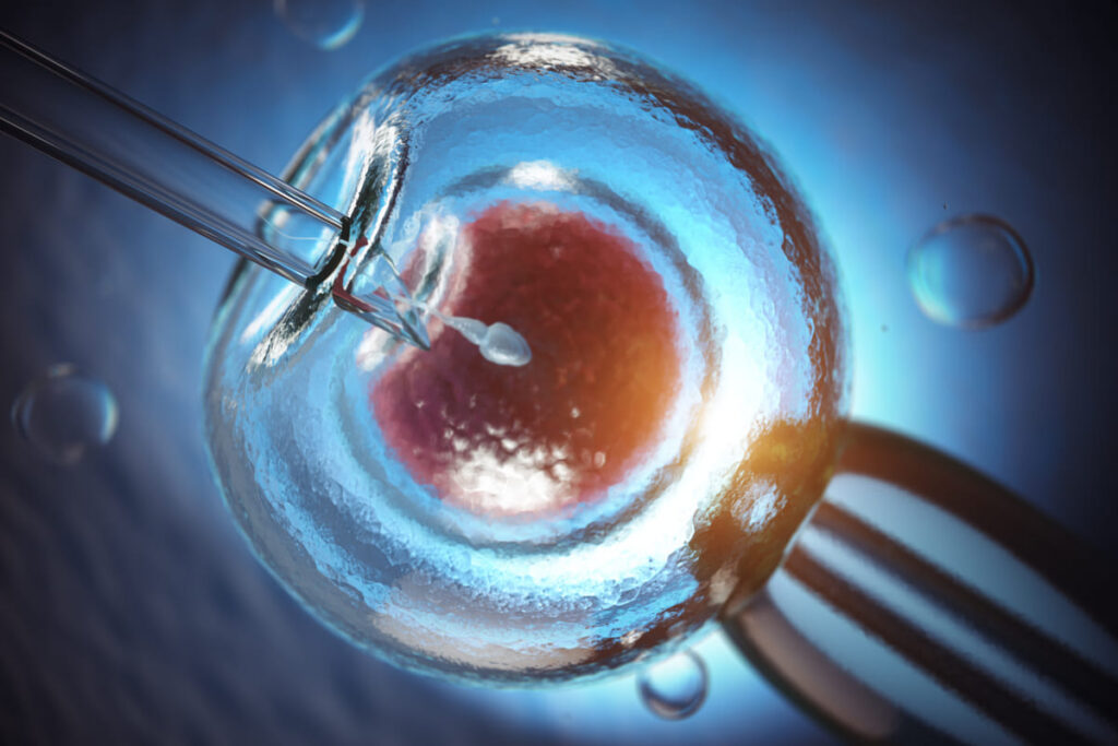 Mikroskopische Aufnahme einer In-vitro-Fertilisation – Eizelle wird befruchtet