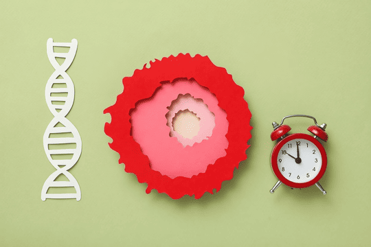 AMH-Rechner – ovarielle Reserve und biologische Uhr einordnen