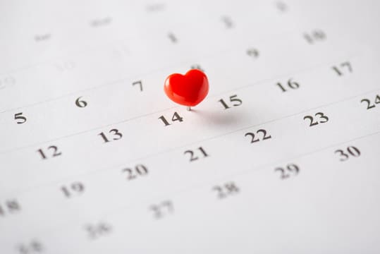 Schwangerschaftsrechner – Entbindungstermin und SSW nach Transfer berechnen