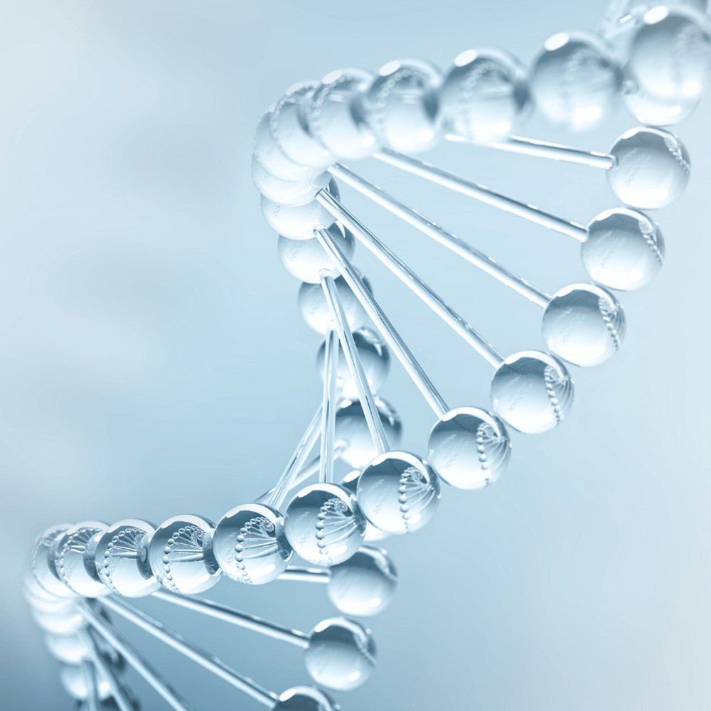 Raeumliche Darstellung einer DNA-Doppelhelix