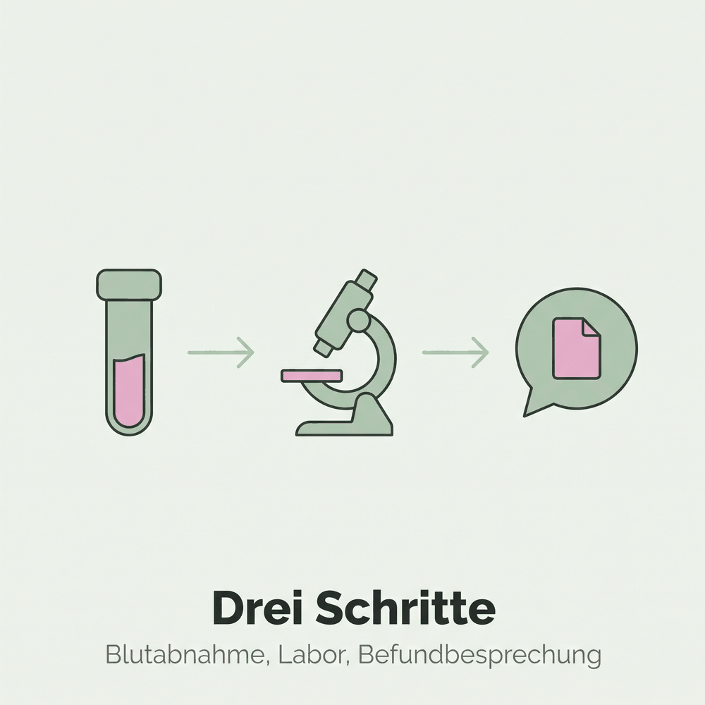 Ablauf des AMH-Tests in drei Schritten, von der Blutabnahme über die Analyse im Labor bis zur Befundbesprechung