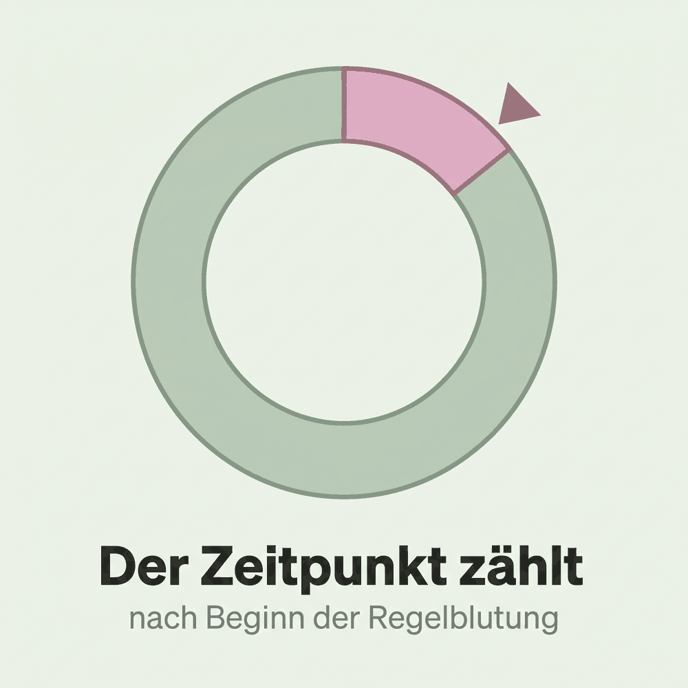 Zyklusring, der Abschnitt kurz nach Beginn der Regelblutung ist markiert