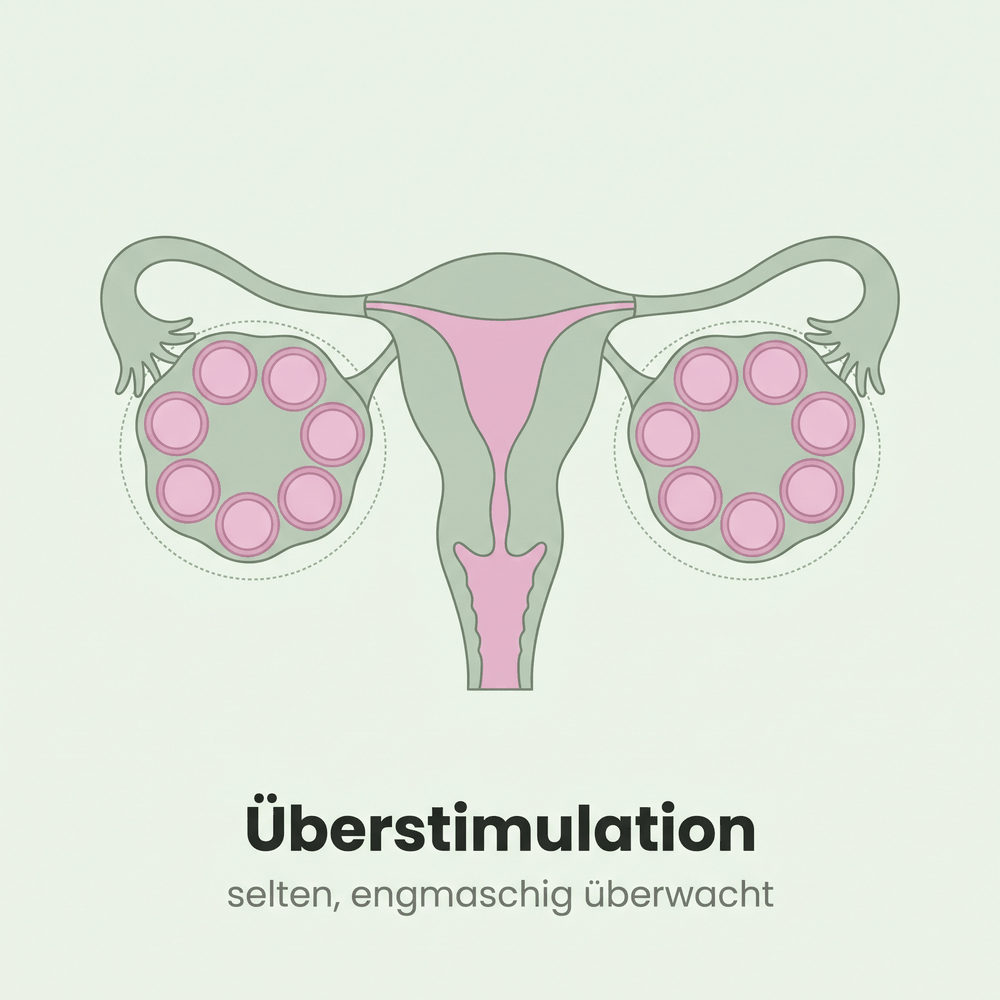 Gebärmutter mit beiden deutlich vergrößerten Eierstöcken; die übliche Größe ist gepunktet angedeutet