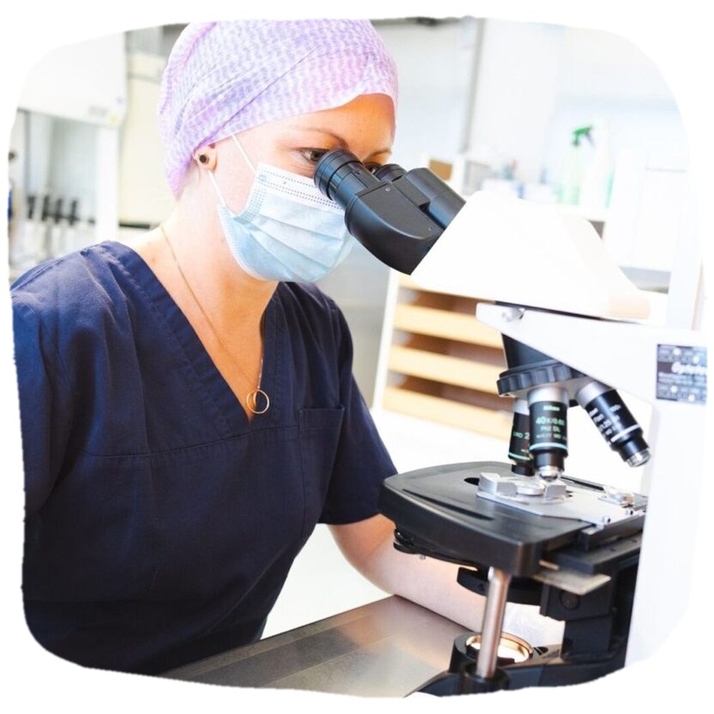 Biologin am Mikroskop an der Werkbank im Labor der Kinderwunschklinik