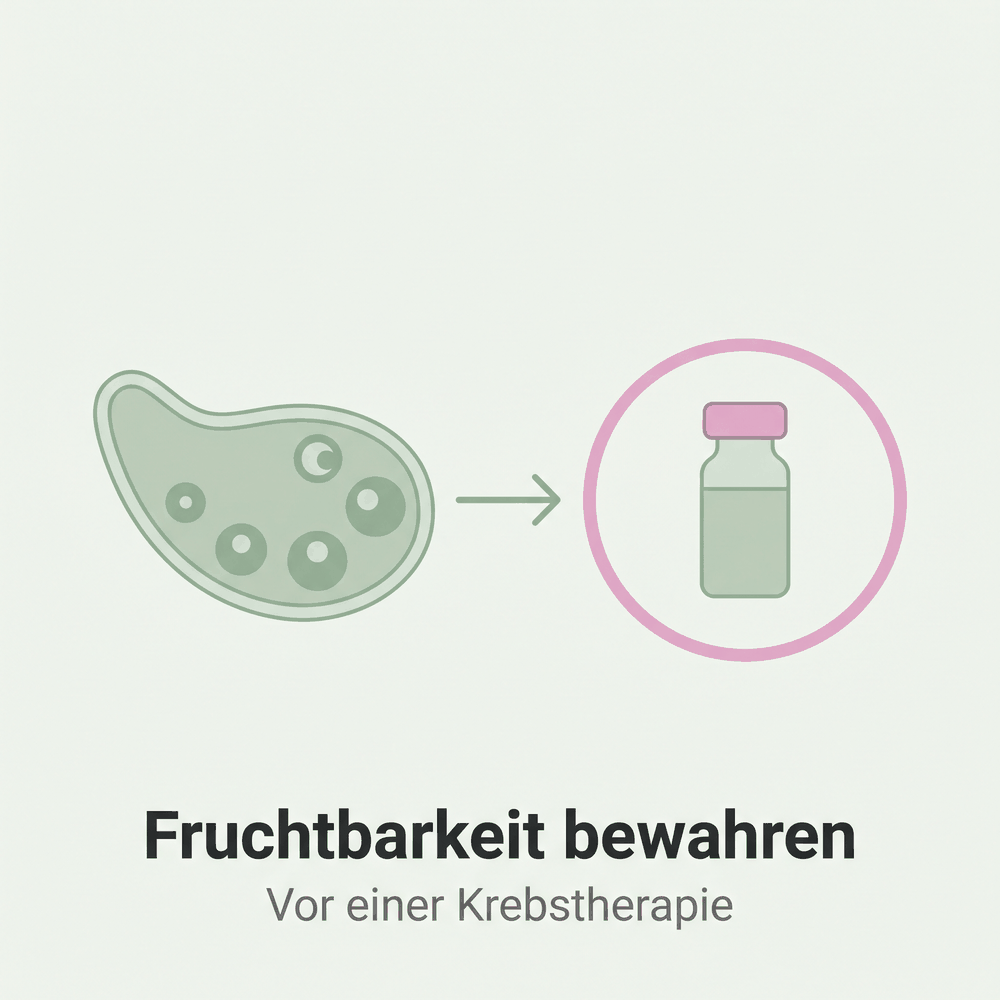 Eierstock mit Pfeil zu einem verschlossenen Fläschchen in einem Schutzring