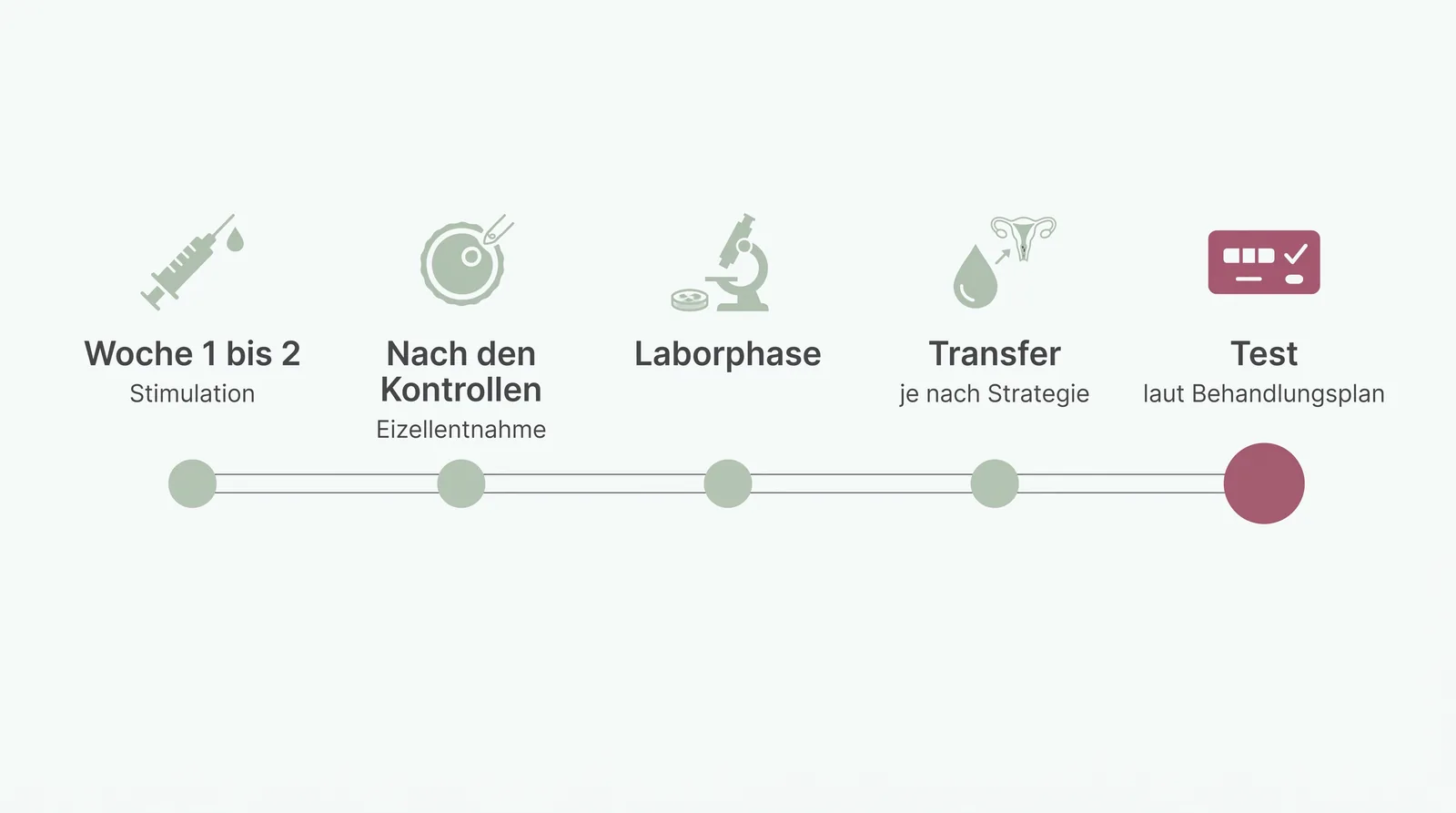 Zeitachse eines IVF-Zyklus mit Eizellentnahme nach den Kontrollen und Test laut Plan