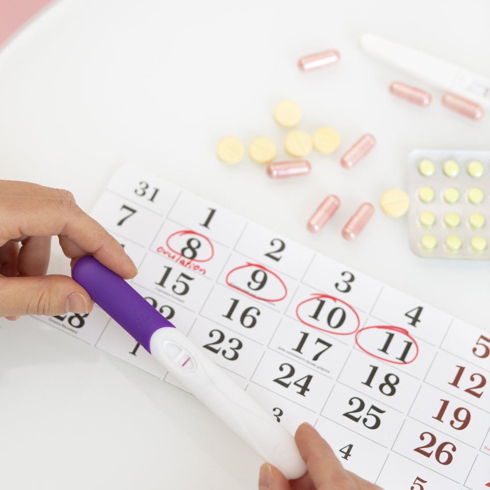 Kalender mit rot eingekreisten Tagen rund um den Eisprung, daneben ein Ovulationstest